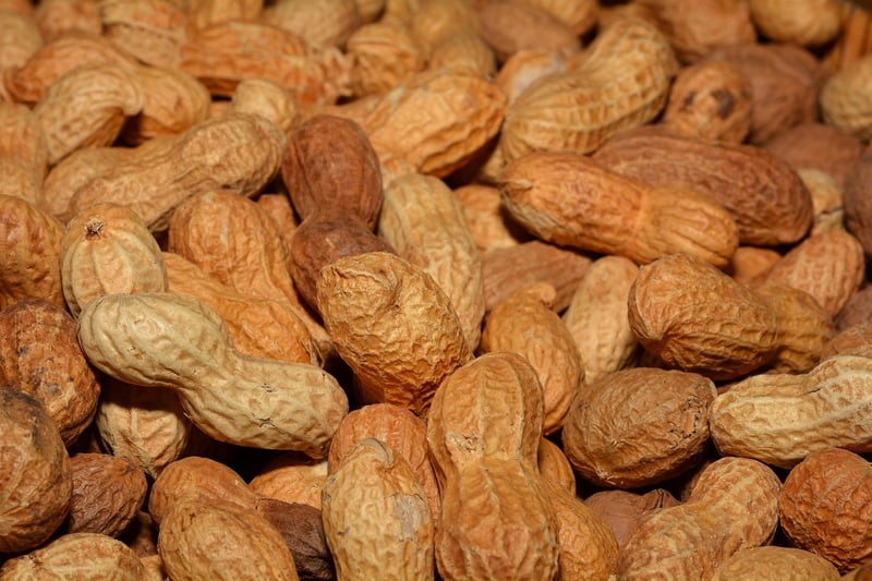 Flavorful Snacks